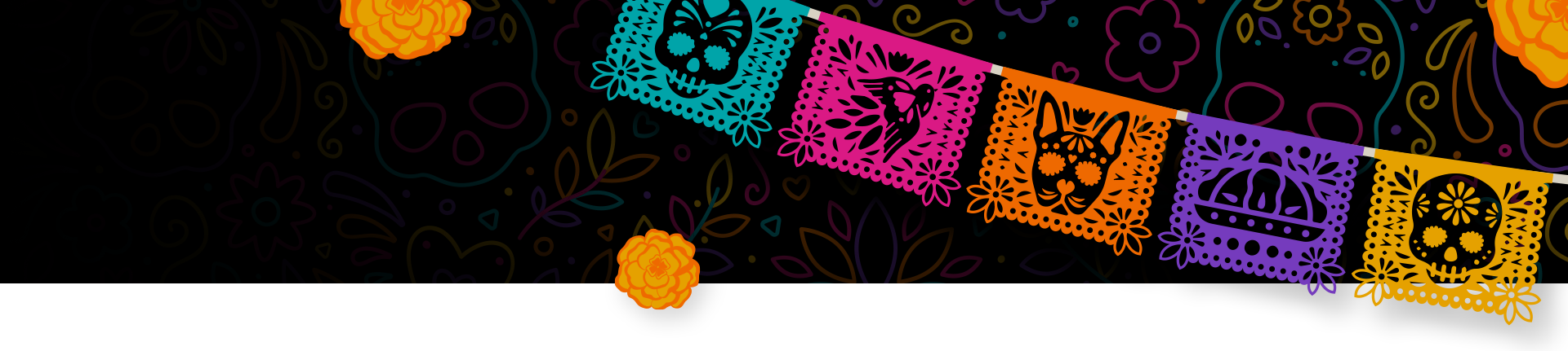 Collection banner representing the type of products listed on the page