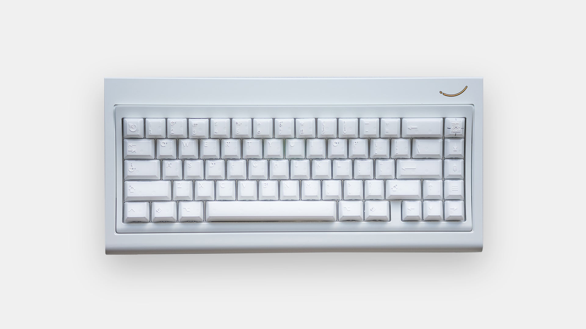 curve 65 white top down