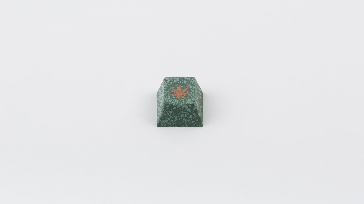  render of GMK CYL Zooted salvun keycap 