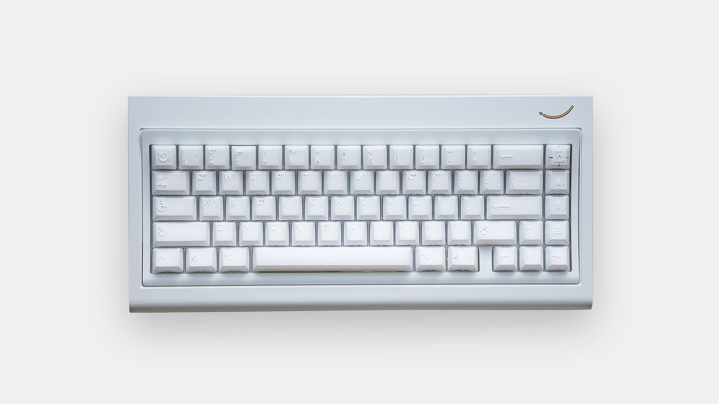 curve 65 white top down