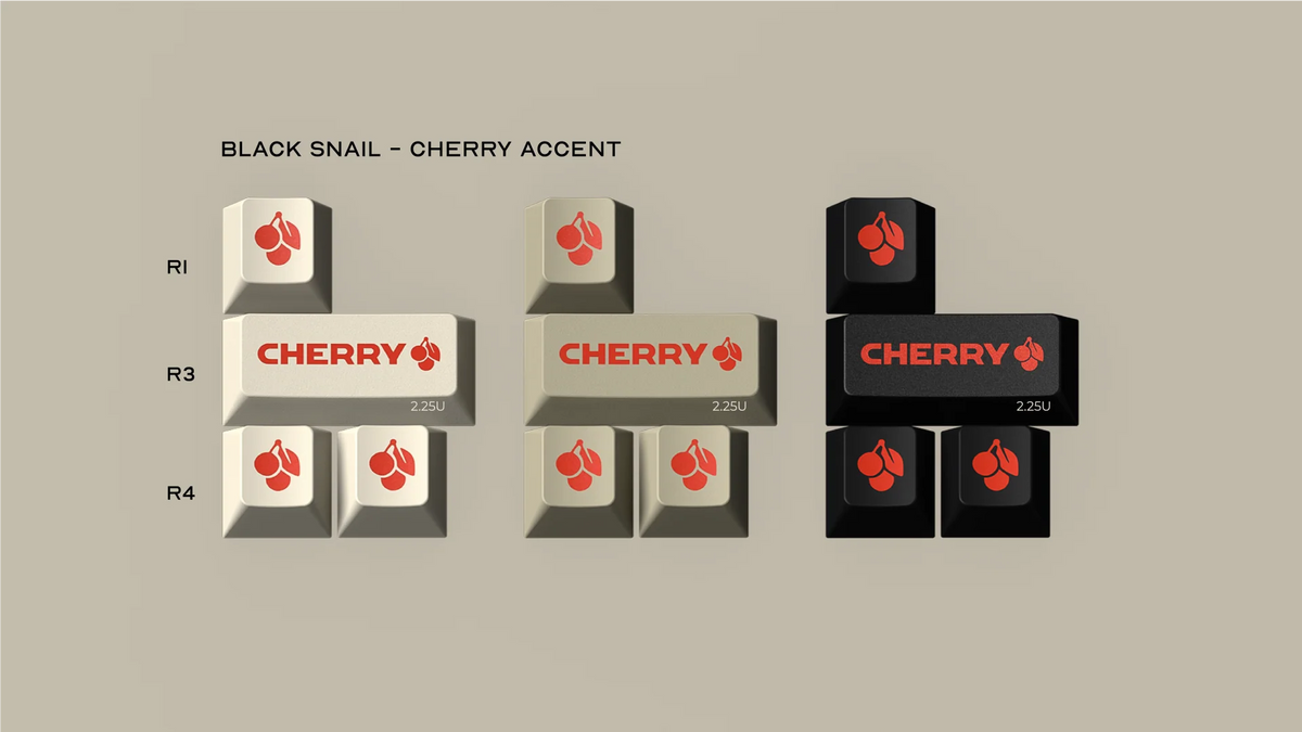 CYL Black Snail – NovelKeys LLC