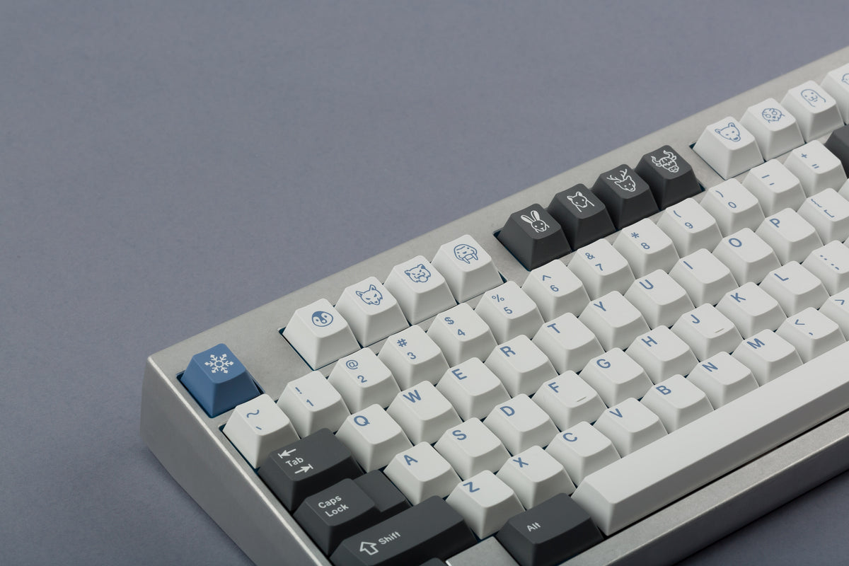  GMK CYL Arctic on silver keyboard zoomed in on left 