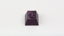 Load image into Gallery viewer, render of GMK CYL Regal HIBI
