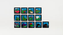 Load image into Gallery viewer, ron sticker pack stickers