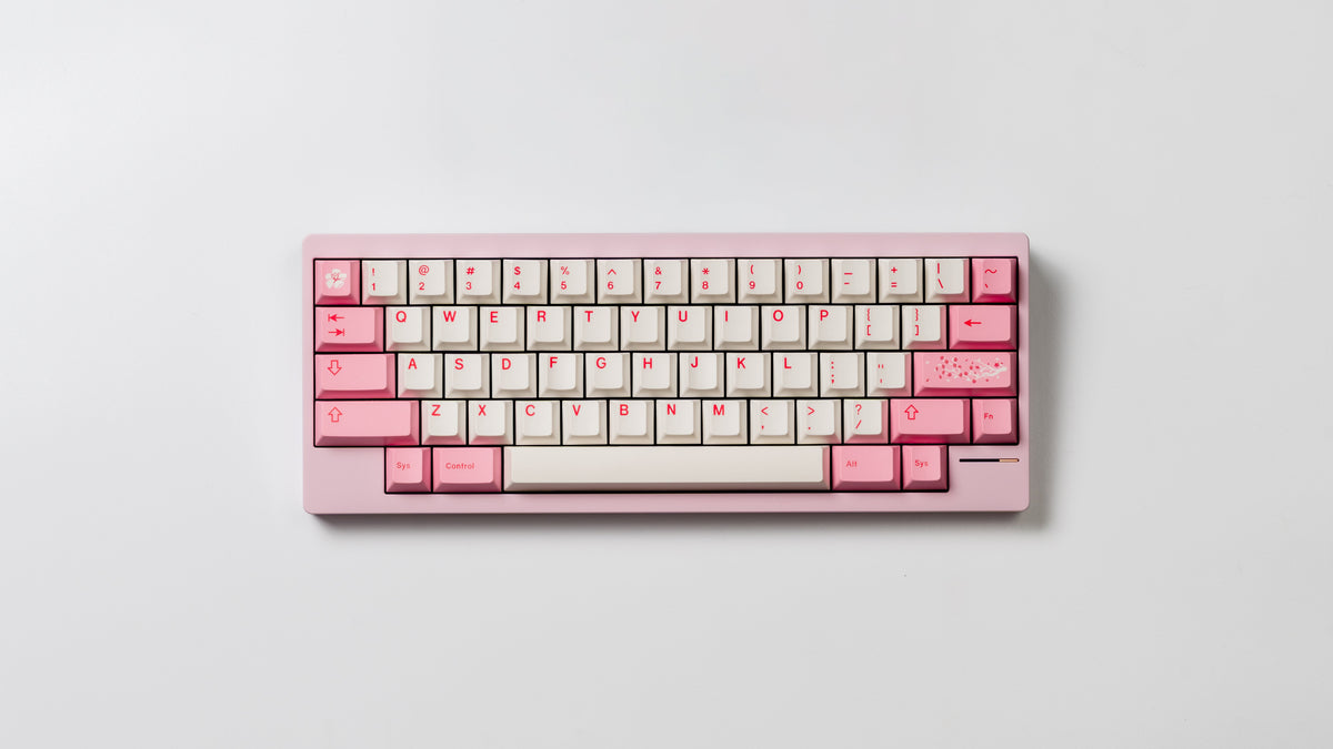  Lily top down view pink 