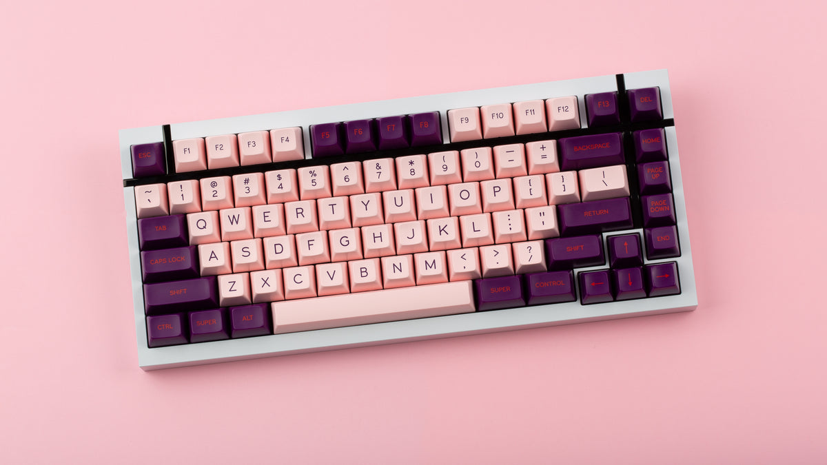  SA Grand Budapest on a white Box 75 top down view 