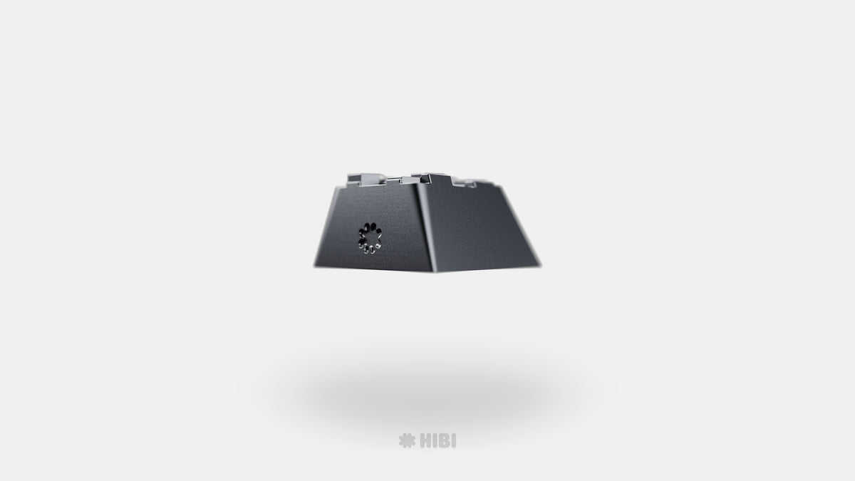  render of Carbon HIBI back side 