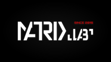 Load image into Gallery viewer, hidden render of matrix logo