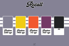 Load image into Gallery viewer, SA Recall color codes